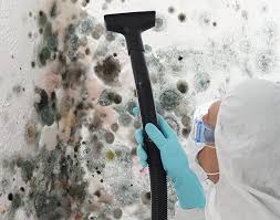 Best Mold Prevention Services  in Alafaya, FL